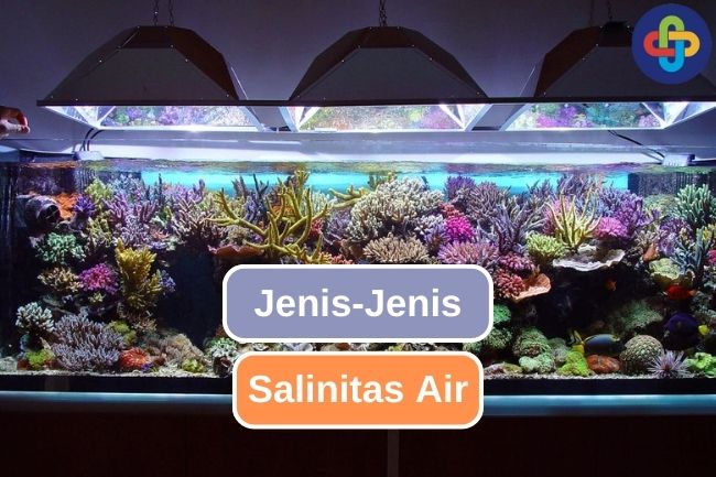 Ketahui 3 Jenis Salinitas Air dalam Aquascape